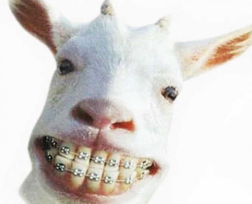 informatica innovazione scuola