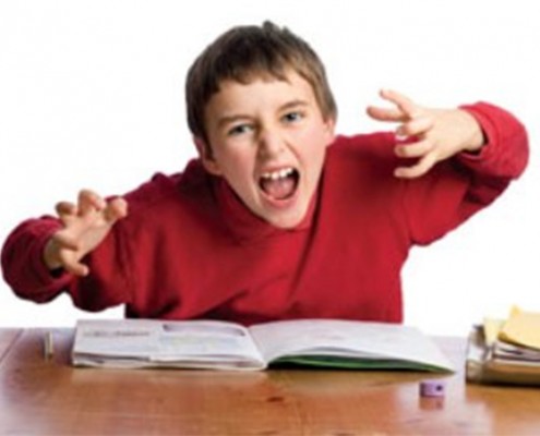 Don Bosco Borgomanero, News