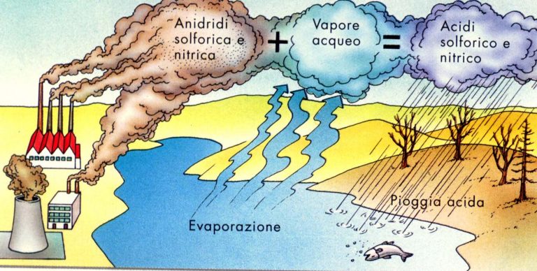 Gli effetti dell'inquinamento atmosferico sull'ambiente - Don Bosco