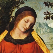 Don Bosco Borgomanero MARIA, COMPAGNA DI VIAGGIO Don Bosco Borgomanero