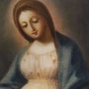 Don Bosco Borgomanero MARIA DONNA GESTANTE Main Don Bosco Borgomanero