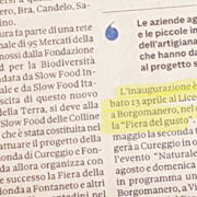 Don Bosco Borgomanero