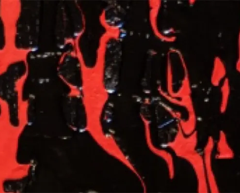 Don Bosco Borgomanero