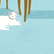 Don Bosco Borgomanero