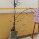 Don Bosco Borgomanero