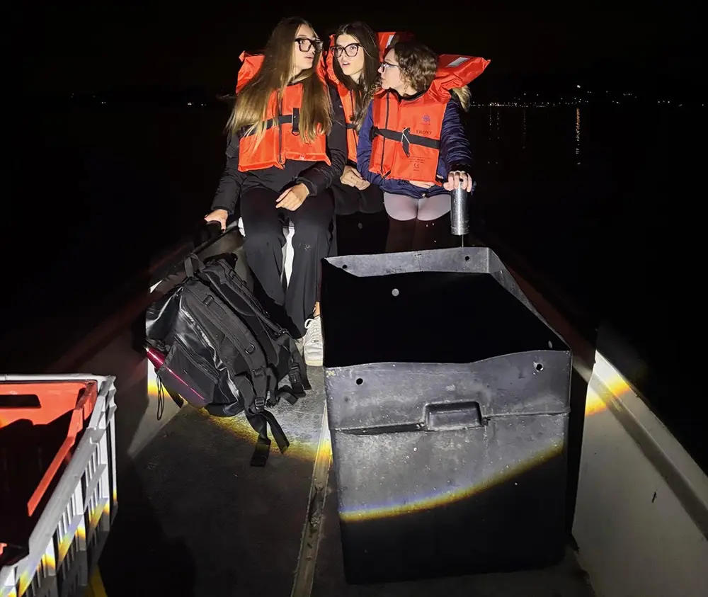 Don Bosco Borgomanero