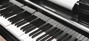 Don Bosco Borgomanero